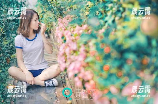 青豆客-梦娜Vanessa 青豆客 - 一个网盘和一件“梦娜Vanessa红裙”,这搭配听起来就像是冲淡了点什么。